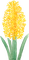 hyacinth Bb2 - 免费PNG 动画 GIF