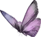 motte lila - ilmainen png animoitu GIF