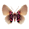 all my butterflys - 無料のアニメーション GIF アニメーションGIF