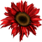 gala flowers - png gratis GIF animado