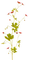 soave deco flowers red green - PNG gratuit GIF animé