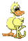 Kaz_Creations Alphabets Ducks Letter K - 無料のアニメーション GIF アニメーションGIF