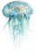 jellyfish Bb2 - png ฟรี GIF แบบเคลื่อนไหว