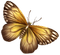 autumn butterfly by nataliplus - Free PNG Animated GIF