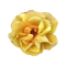 kikkapink yellow summer flower - безплатен png анимиран GIF