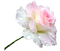 rose - zdarma png animovaný GIF