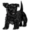 Dog-RM - δωρεάν png κινούμενο GIF