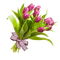 tulips-flower-pink - PNG gratuit GIF animé