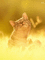 Cat.Chat.Victoriabea - 無料のアニメーション GIF アニメーションGIF