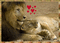 lion - Безплатен анимиран GIF анимиран GIF