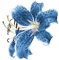 Blue Lily - png gratis GIF animado