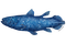 coelacanth [NOAA] - png gratis GIF animasi