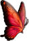 Mariposa - GIF animé gratuit