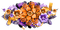 Halloween.Scrap.Cluster.Orange.Purple - PNG gratuit GIF animé