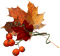 autumn - ücretsiz png animasyonlu GIF
