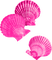 Seashells.Pink - zadarmo png animovaný GIF