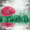 soave background animated flowers poppy water - Бесплатни анимирани ГИФ анимирани ГИФ
