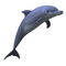 gala aquatic animals - bezmaksas png animēts GIF