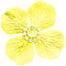 Yellow Animated Flower - By KittyKatLuv65 - GIF animé gratuit GIF animé