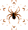 spider - Nemokamas animacinis gif animuotas GIF