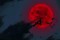 evil sarahs background 🦇 - Gratis geanimeerde GIF geanimeerde GIF