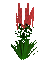 flower - Bezmaksas animēts GIF animēts GIF