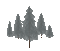 Winter.Pine trees.gif.Victoriabea - Darmowy animowany GIF animowany gif