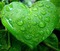 coeur de nature - png gratis GIF animasi