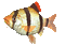 poisson-fish