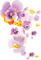 Kaz_Creations Deco Flowers Flower Colours - png gratis GIF animasi
