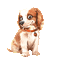 Animated Spring Dog - 無料のアニメーション GIF