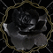 black rose - Bezmaksas animēts GIF animēts GIF