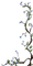 cadre arbre - ilmainen png animoitu GIF