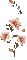 ornament kwiatowy - 無料のアニメーション GIF