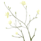 Branch green flowers - ilmainen png animoitu GIF