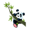 panda.Cheyenne63 - gratis png animerad GIF