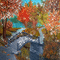 kikkapink autumn background vintage animated