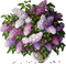 charmille _ fleurs - Free PNG Animated GIF