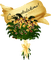 Kaz_Creations Deco Flower Bouquet Congratulations - zadarmo png animovaný GIF