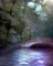 minou-landskap-nature-bg - Free PNG Animated GIF