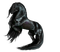 Paard - ilmainen png animoitu GIF