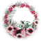 soave deco autumn frame flowers circle leaves - png grátis Gif Animado