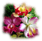 patymirabelle fleurs - PNG gratuit GIF animé