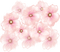 sakura flowers - ilmainen png animoitu GIF