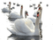 Vogels - ilmainen png animoitu GIF