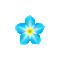 Flower, Flowers, Blue - Jitter.Bug.Girl