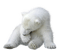 polar bear by nataliplus - PNG gratuit GIF animé