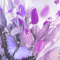 soave background animated spring easter flowers - Besplatni animirani GIF animirani GIF