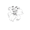 белая лилия - Besplatni animirani GIF animirani GIF