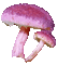 mushroom - Zdarma animovaný GIF animovaný GIF